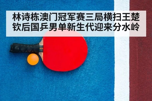 ping pong racket